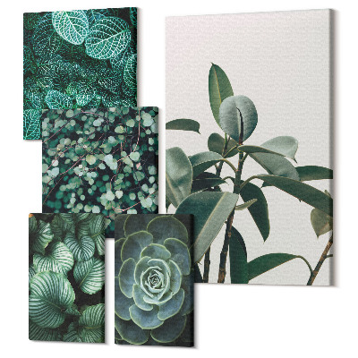 Zestaw obrazów na płótnie pentaptyk Roślinne motywy z zielonymi liśćmi i sukulentami