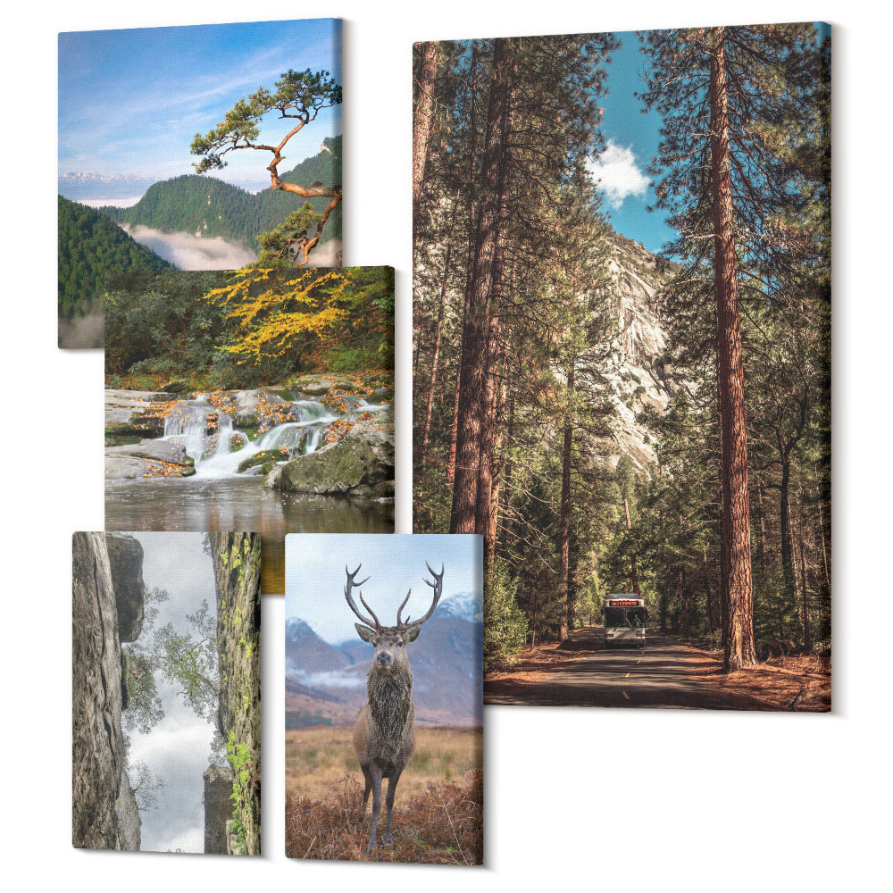 Zestaw obrazów 5 części pentaptyk Naturalne pejzaże lasów górskich i dzikiej przyrody