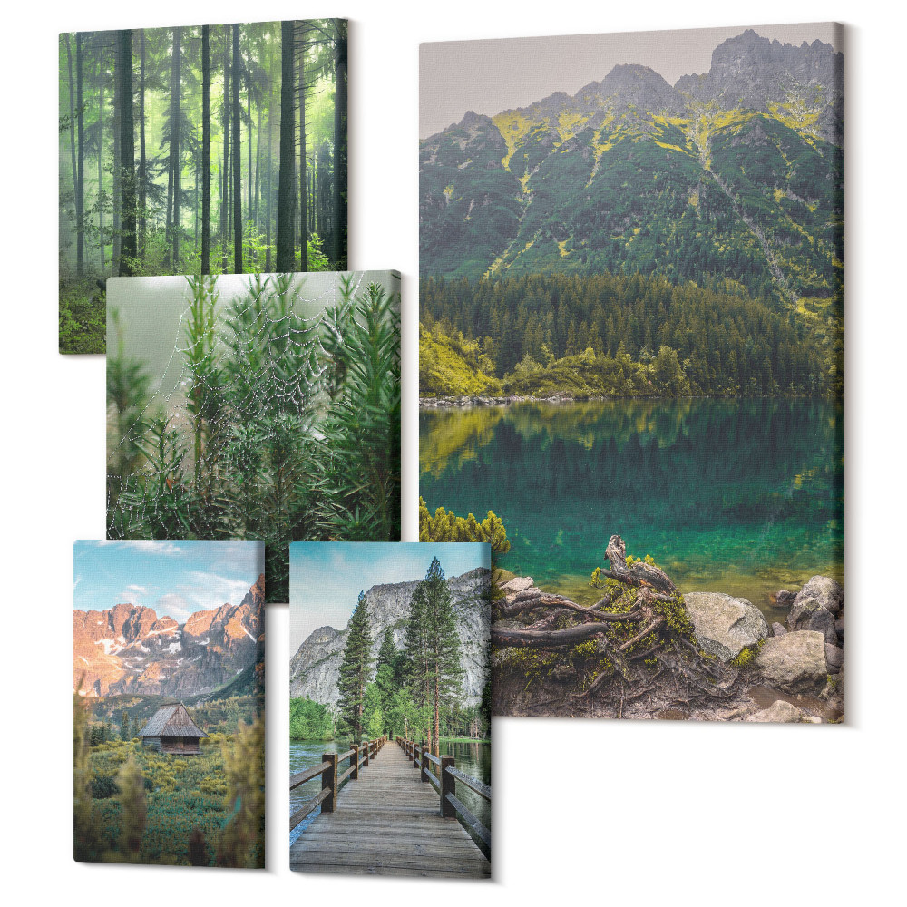 Zestaw obrazów 5 części pentaptyk Krajobrazy natury z górskimi widokami i lasami