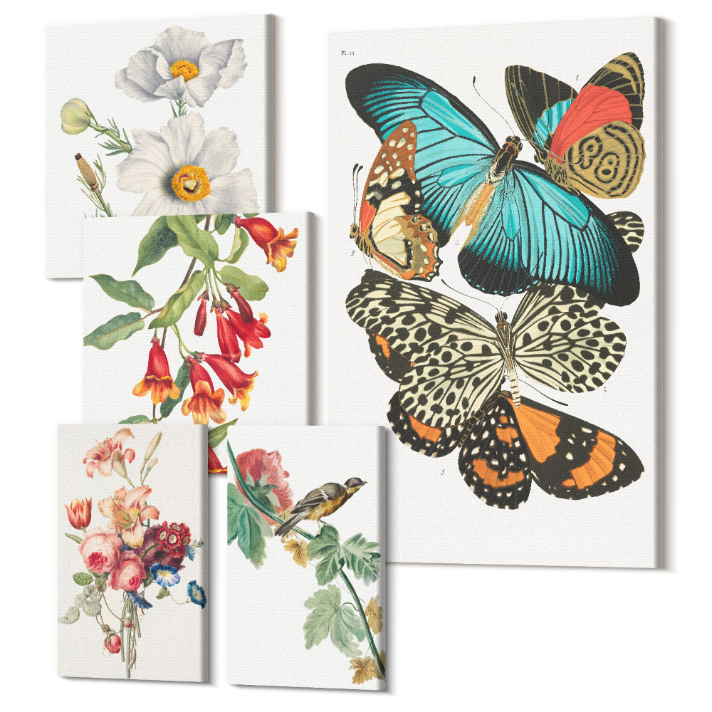 Zestaw obrazów na płótnie pentaptyk Kwiaty motyle i ptaki w stylu vintage dekoracje ścienne
