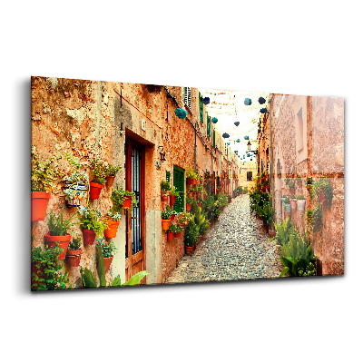 Obraz na szkle Ulica w wiosce valldemossa