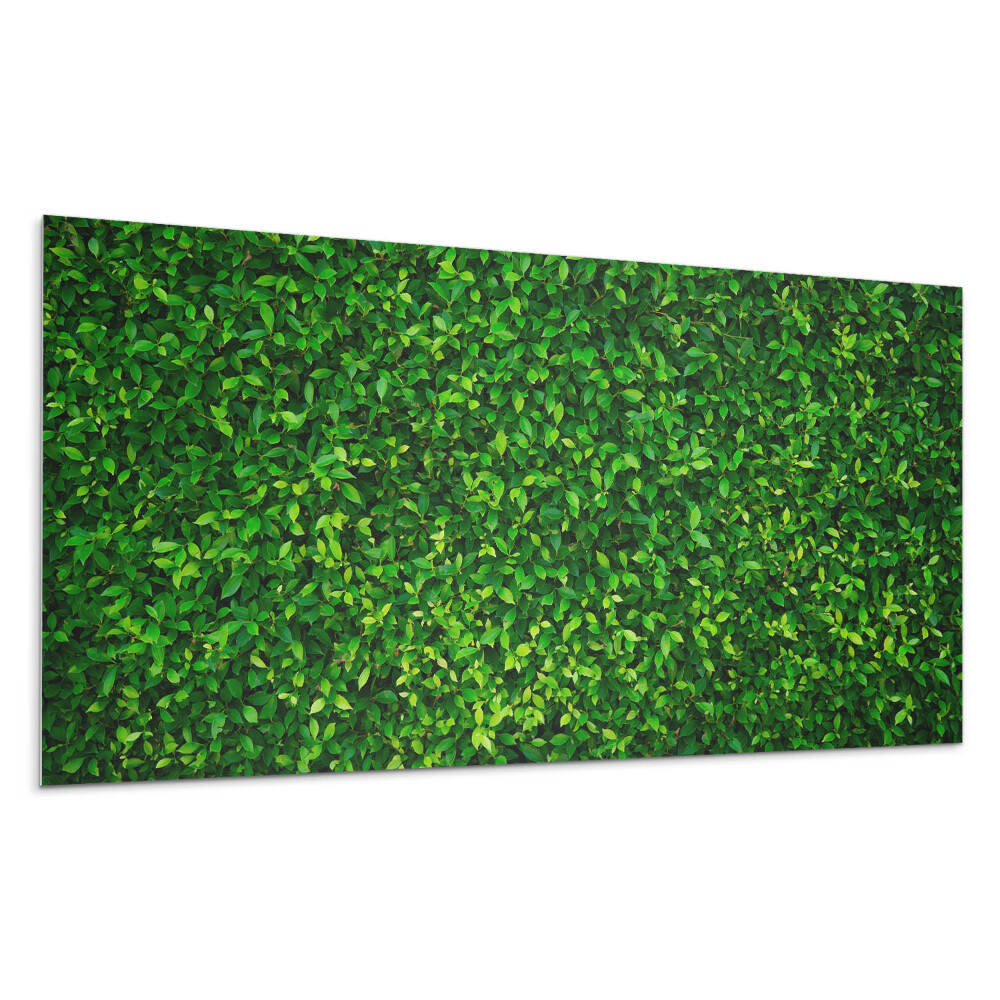 Panel pcv Gęsta ściana liści