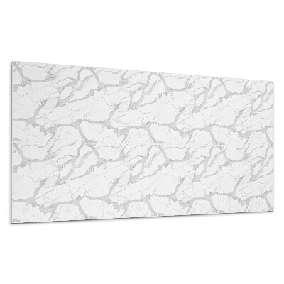 Płyta na ścianę Wzór marmurowy z żyłkami