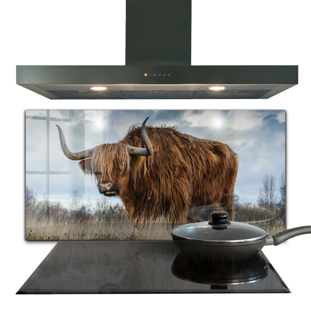 Lacobel do kuchni Krowa Highland Boho