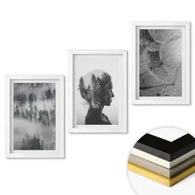 Zestaw 3 obrazów w ramie Natura i refleksje w minimalistycznym stylu