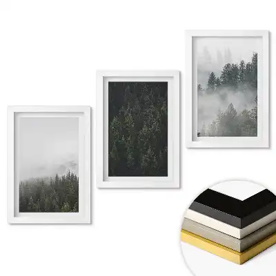 Zestaw 3 obrazów do salonu Mglista sceneria leśna